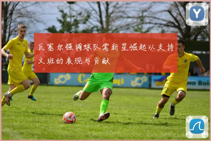 瓦塞尔强调球队需新星崛起以支持文班的表现与贡献